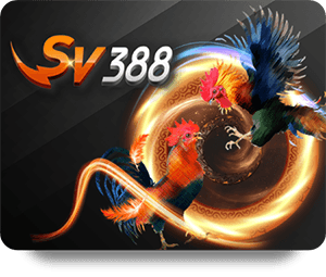 188BET Update 2026 Brings Faster Transactions and Better Security